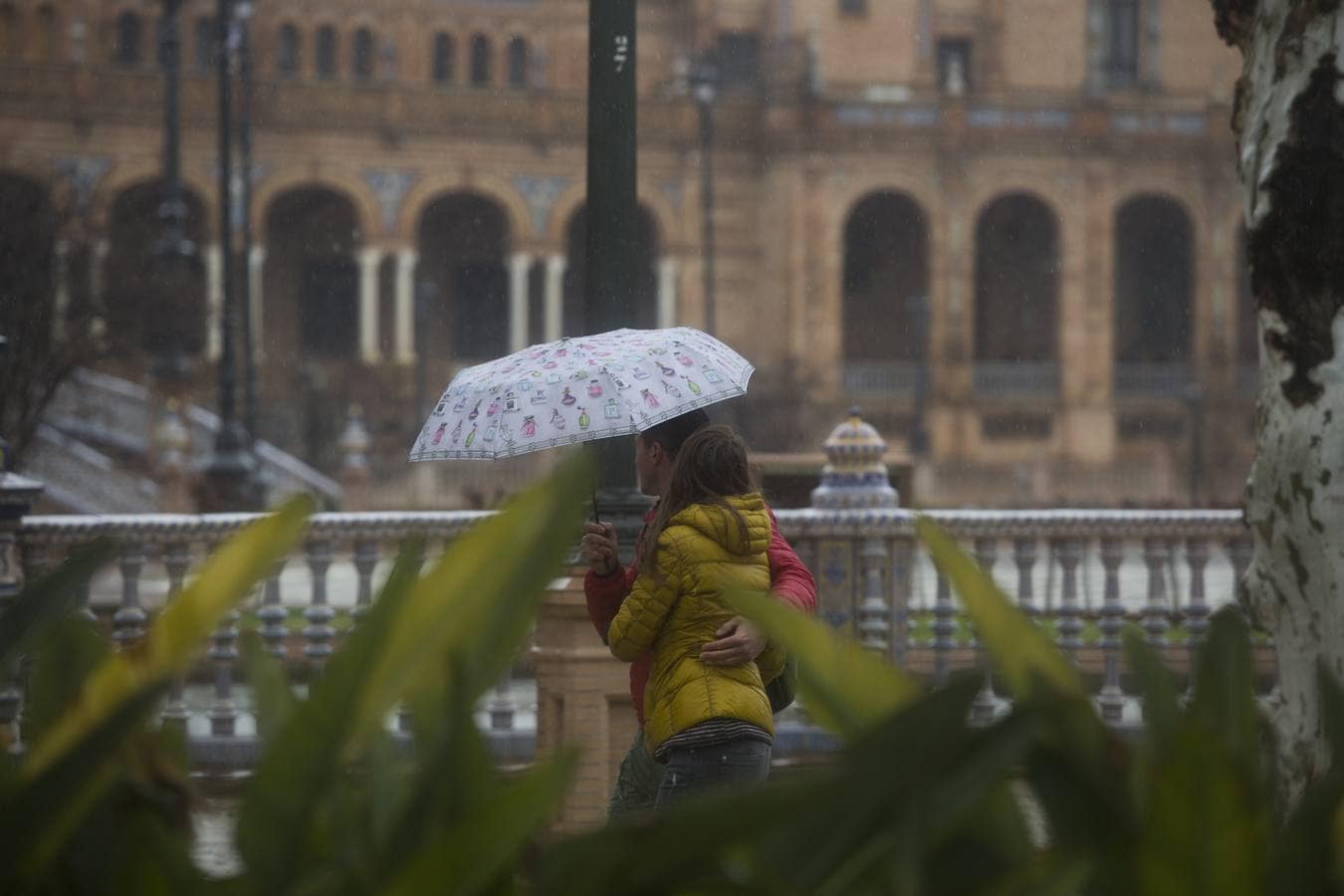 Día de fiesta en Sevilla con lluvia, fuertes vientos y parques cerrados