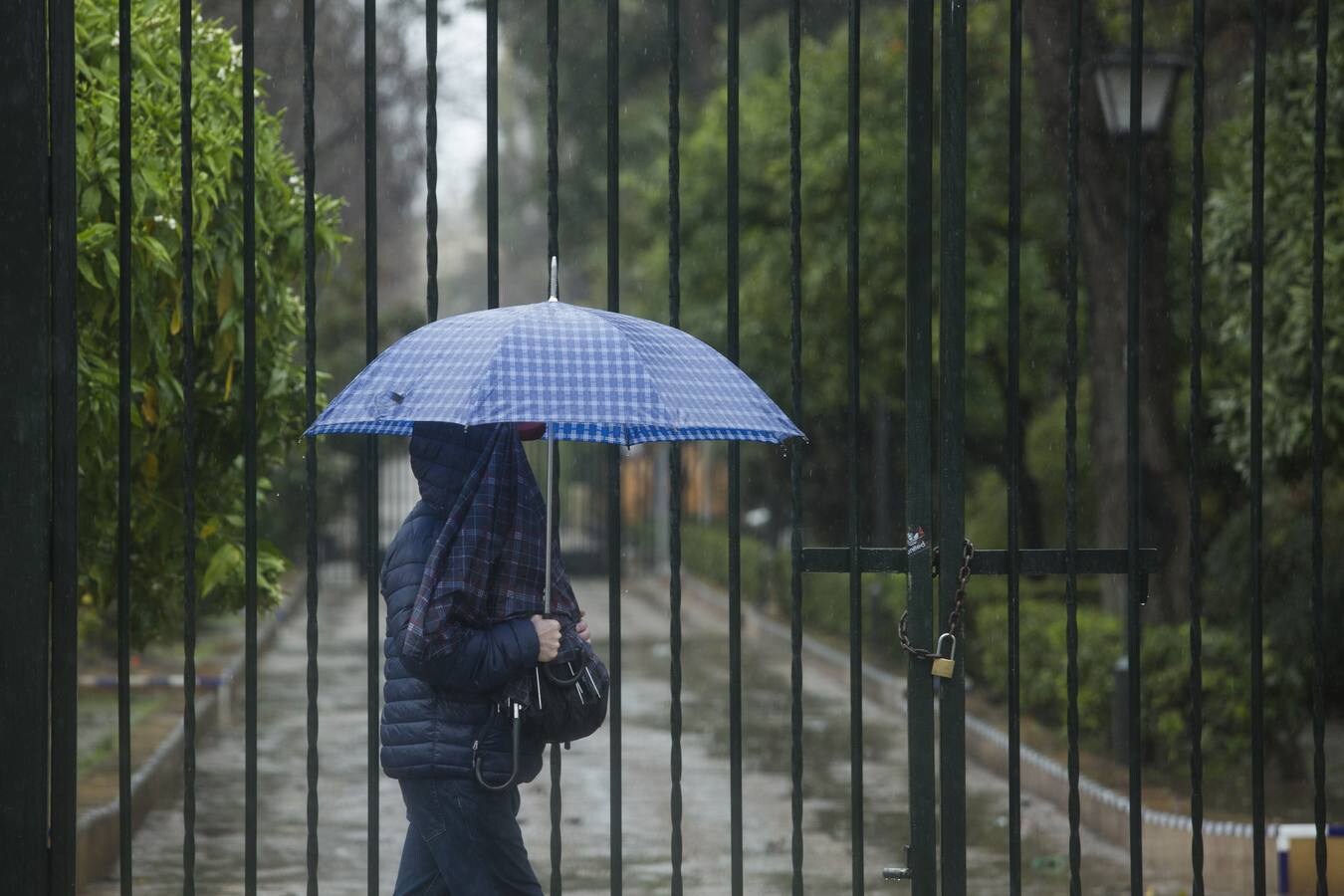 Las fuertes rachas de lluvia y viento provocan más de 120 incidencias en Sevilla