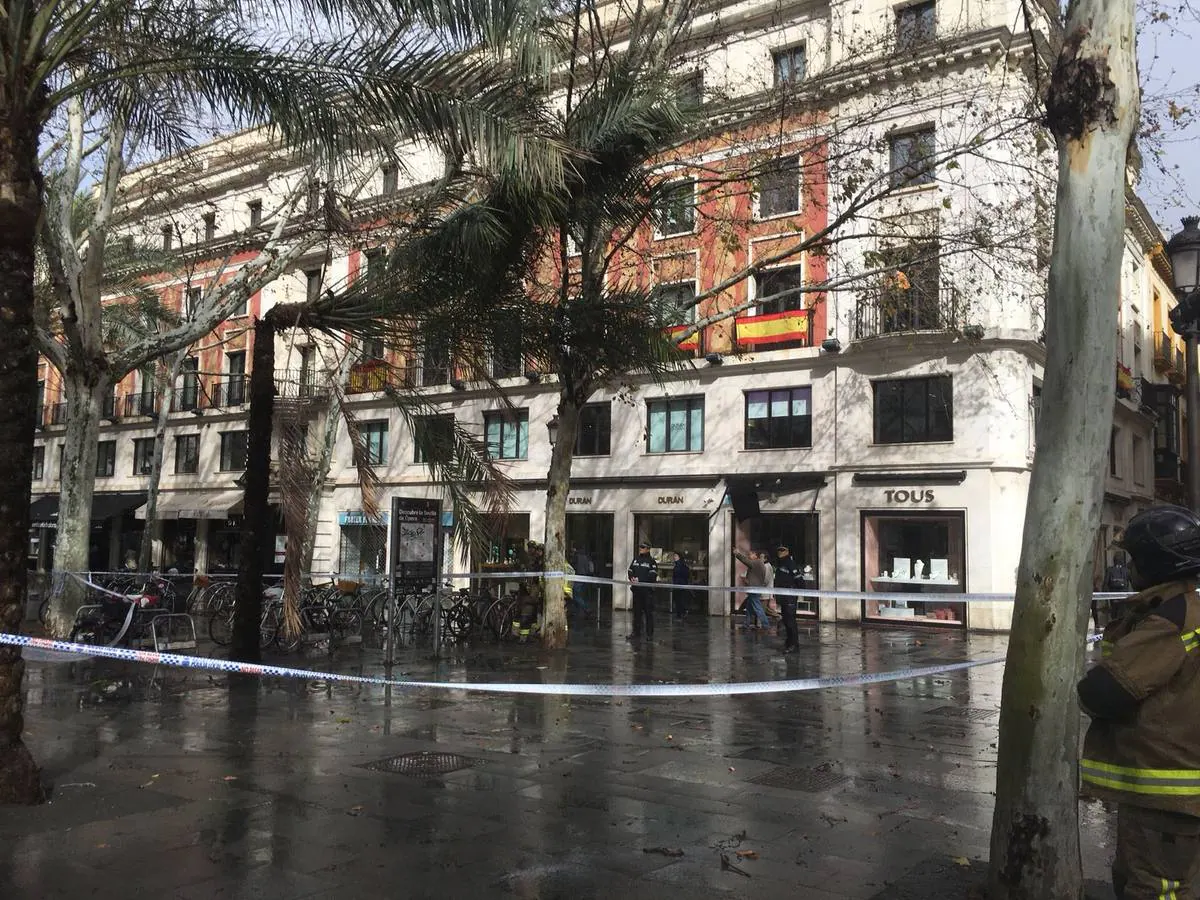 Temporal en Sevilla: El paso de la borrasca Emma por la ciudad, en imágenes