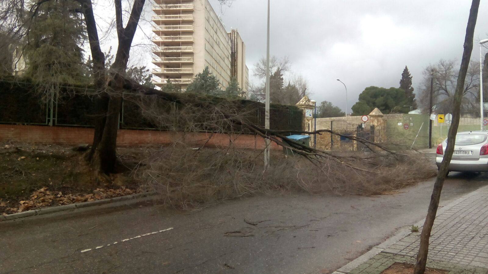 El rastro del temporal de agua y viento, en imágenes