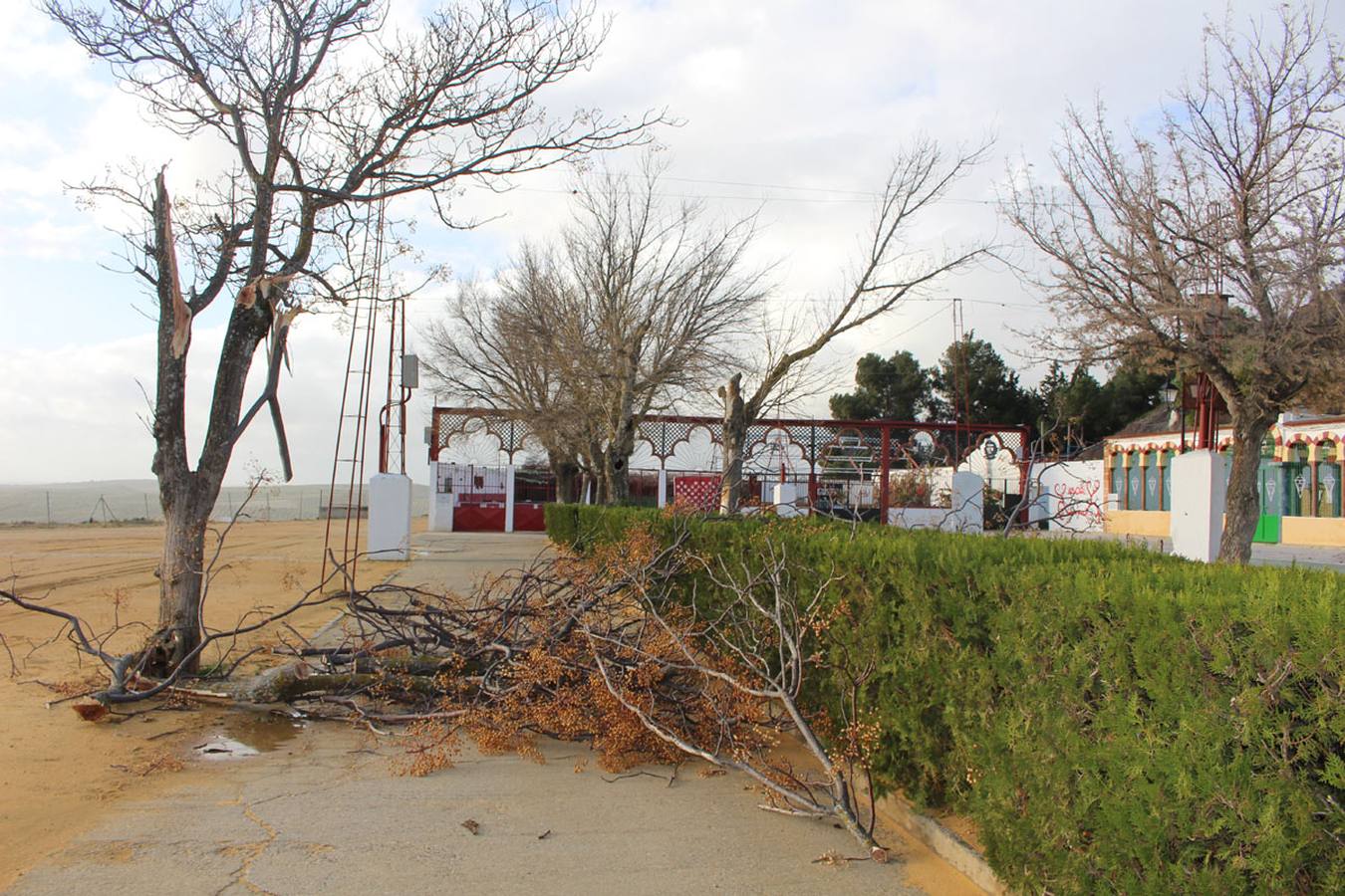 El rastro del temporal de agua y viento, en imágenes