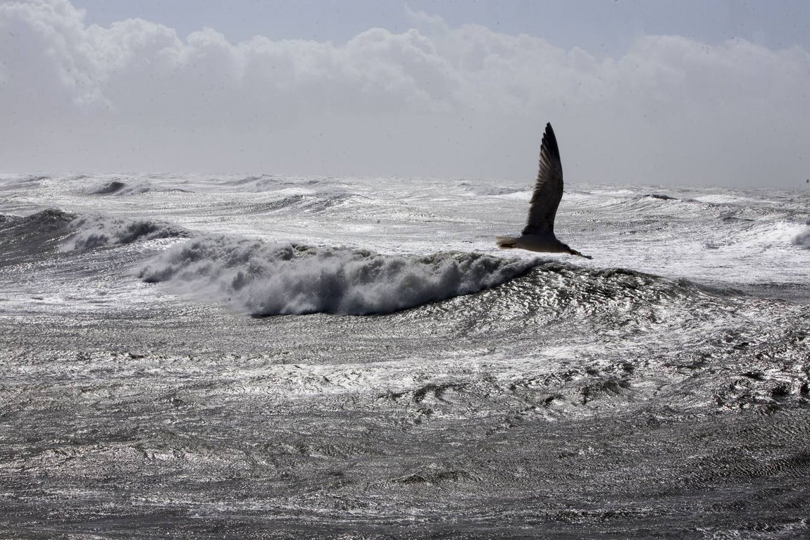 FOTOS: &#039;Emma&#039; castiga a Cádiz con una fuerza desconocida