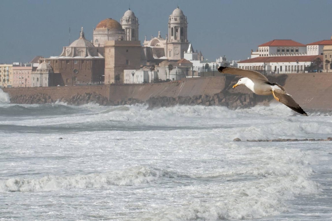 Las impresionantes imágenes que deja el temporal