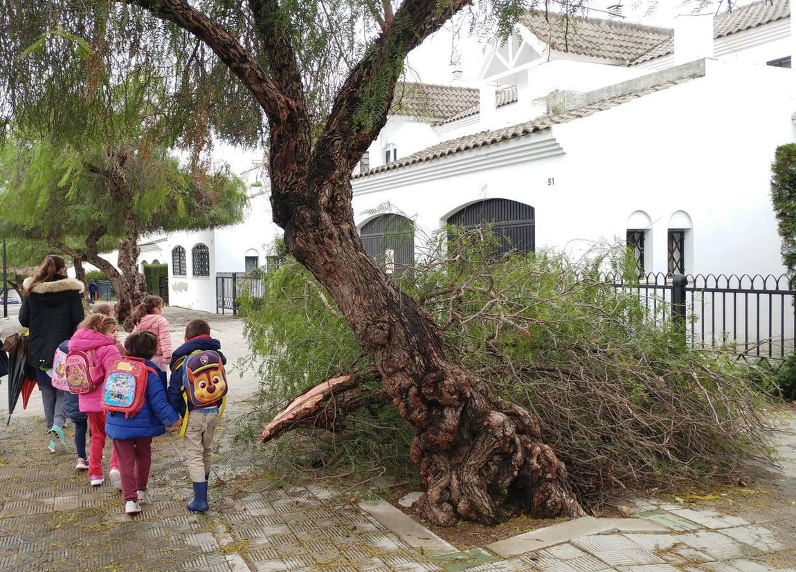 Las impresionantes imágenes que deja el temporal