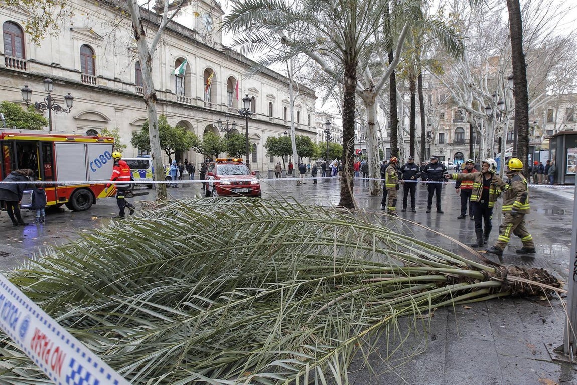 Las impresionantes imágenes que deja el temporal