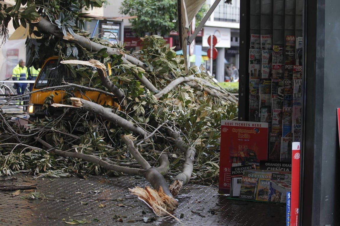 Las impresionantes imágenes que deja el temporal