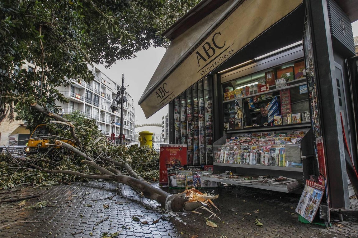 Las impresionantes imágenes que deja el temporal