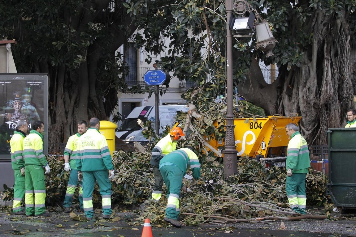 Las impresionantes imágenes que deja el temporal