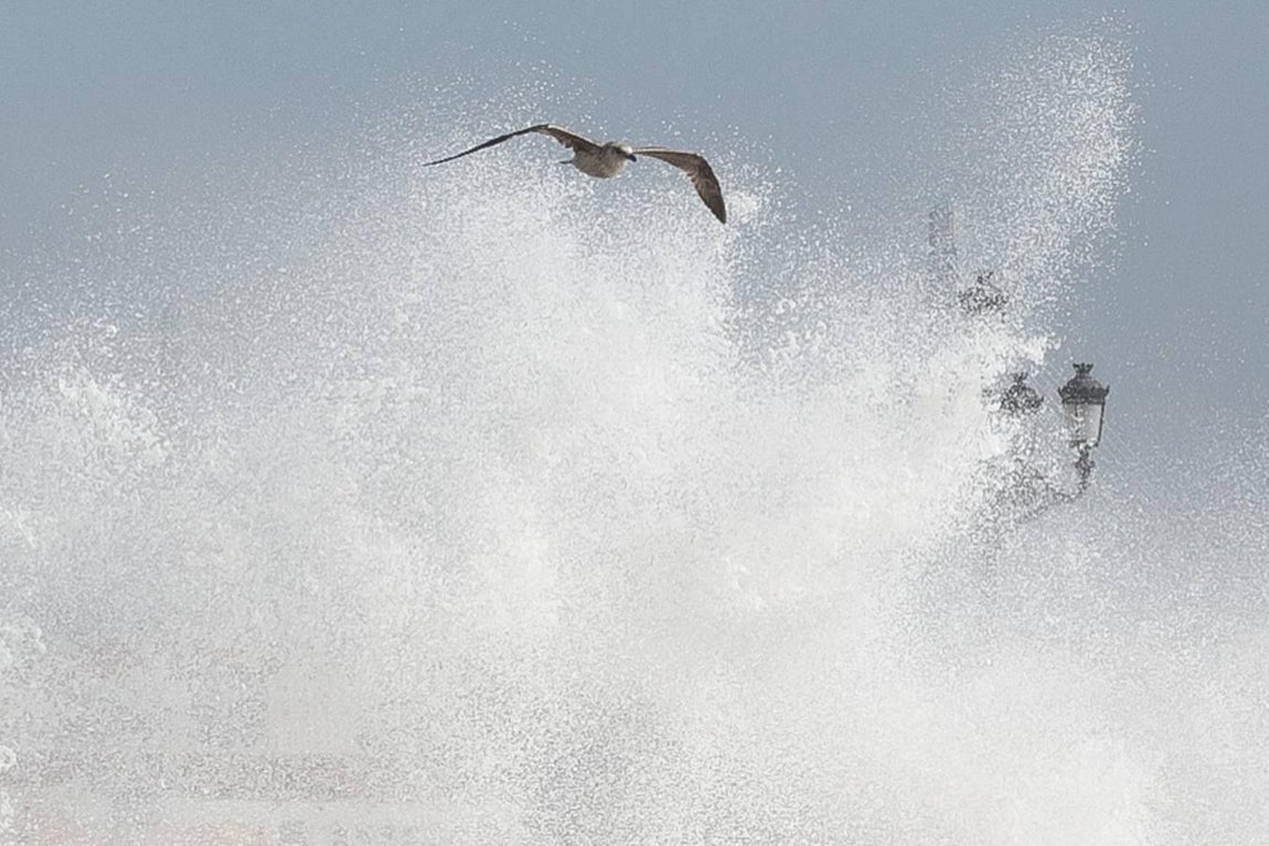 Las impresionantes imágenes que deja el temporal