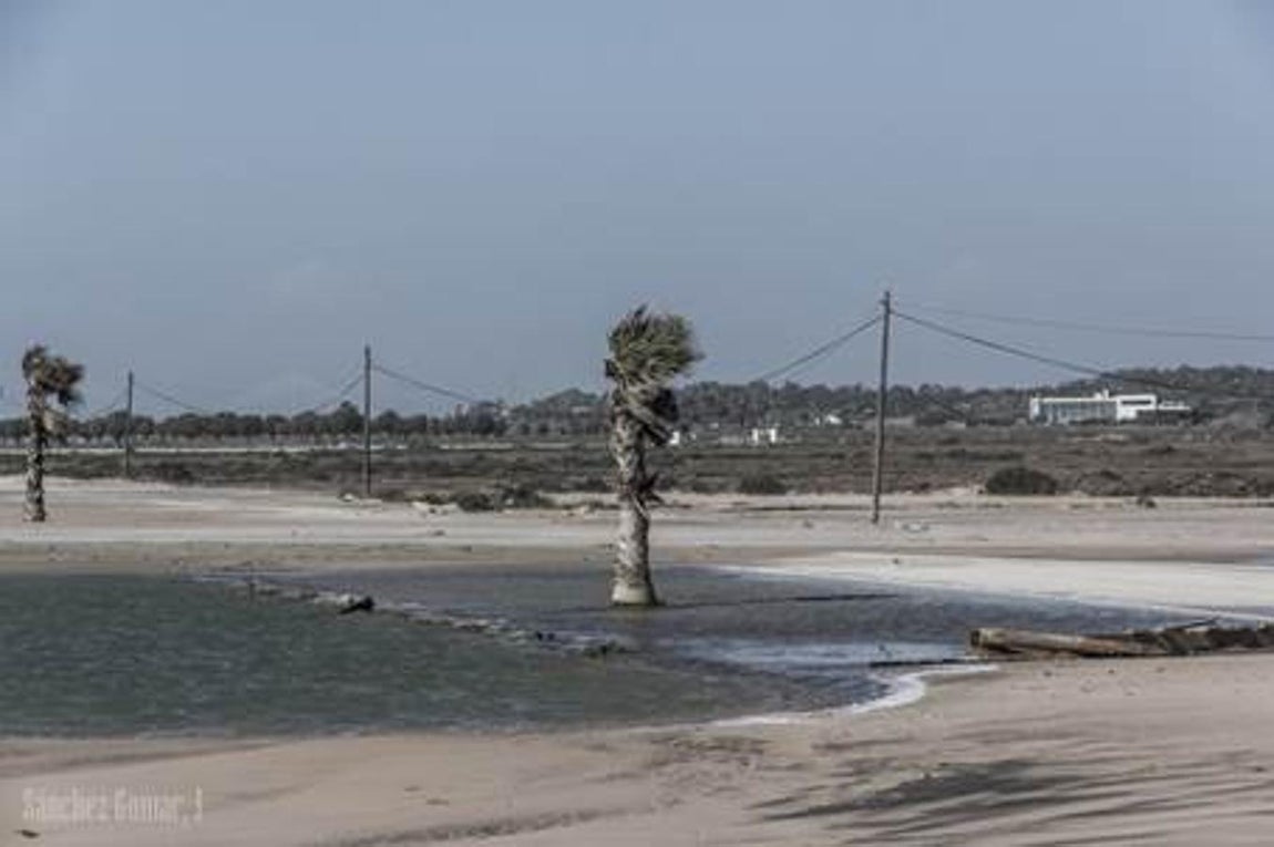 Playa de Camposoto en San Fernando / Autor: Ismael Sánchez Gomar