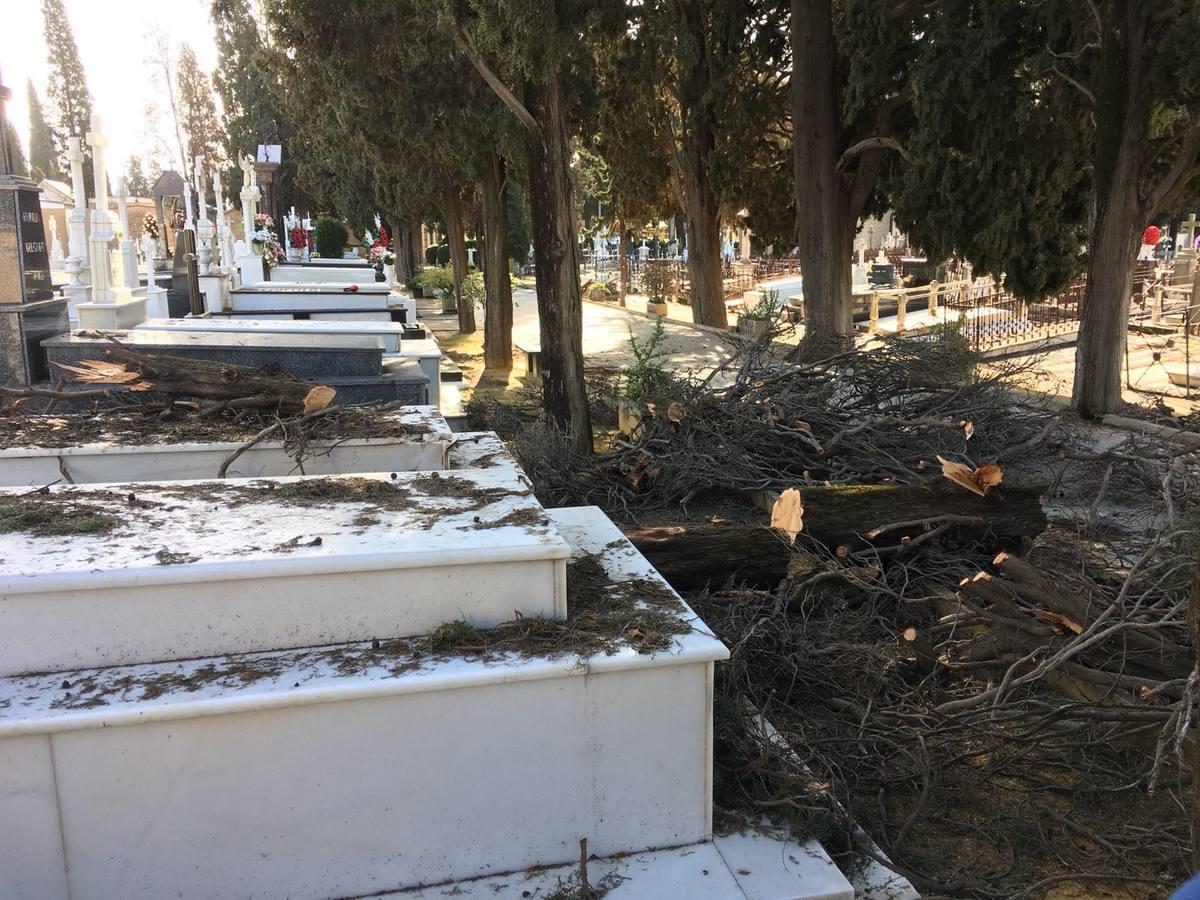 Así ha quedado el cementerio de Sevilla tras el temporal