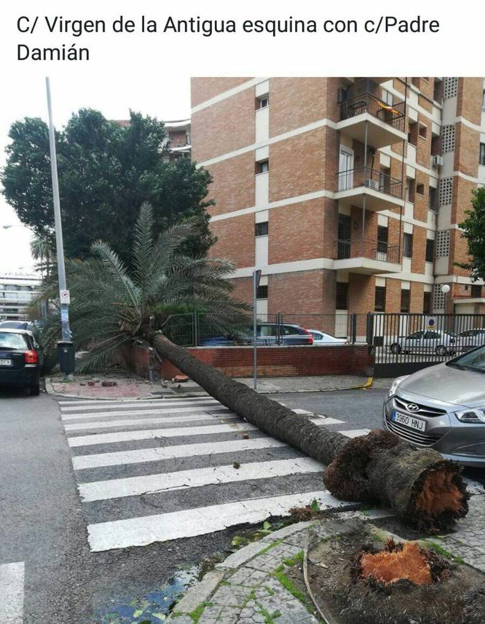 #TemporalABCsev: Los estragos del temporal en la ciudad desde el objetivo de los sevillanos