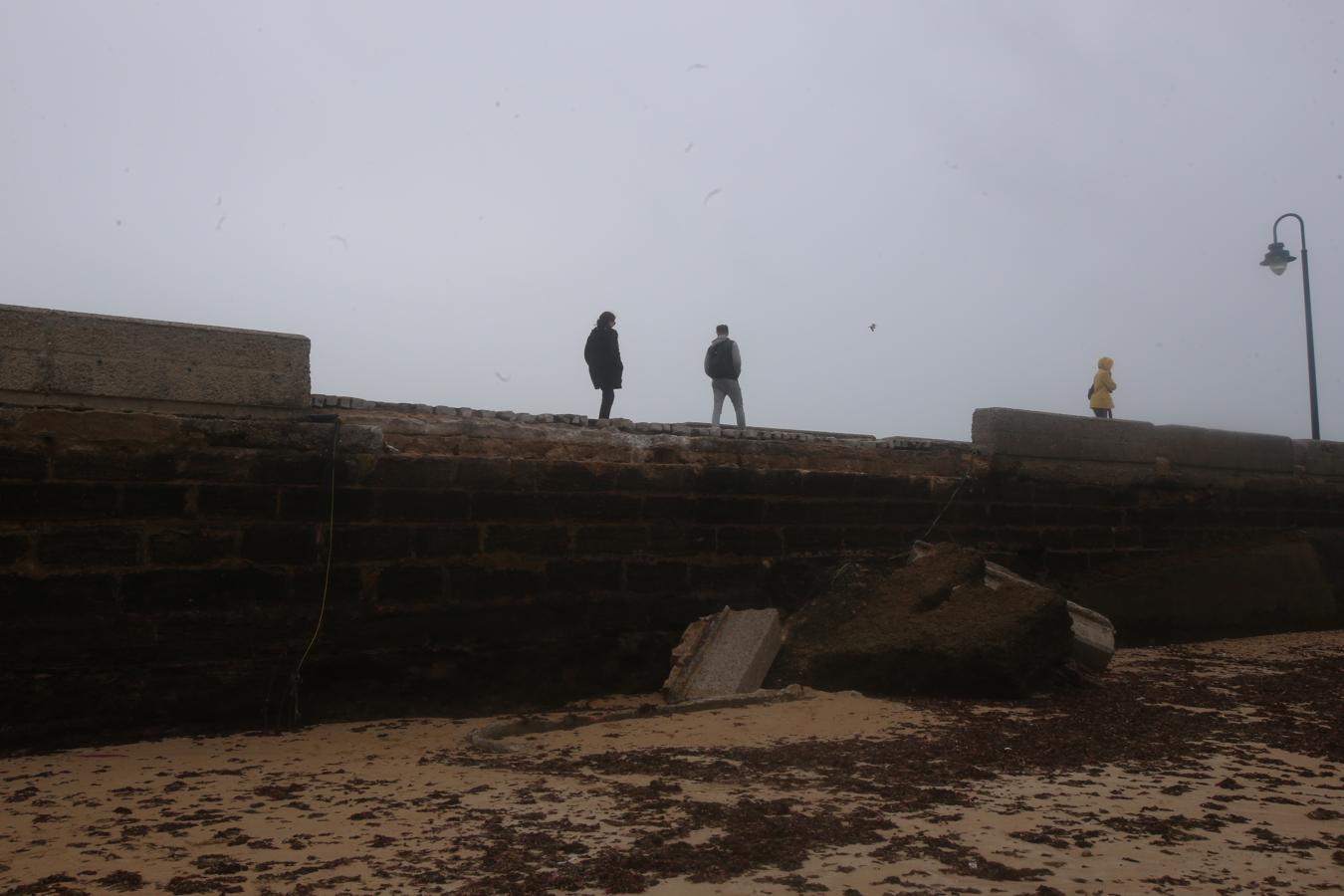 FOTOS: Arrancan las obras de reparación en el Puente Canal de Cádiz