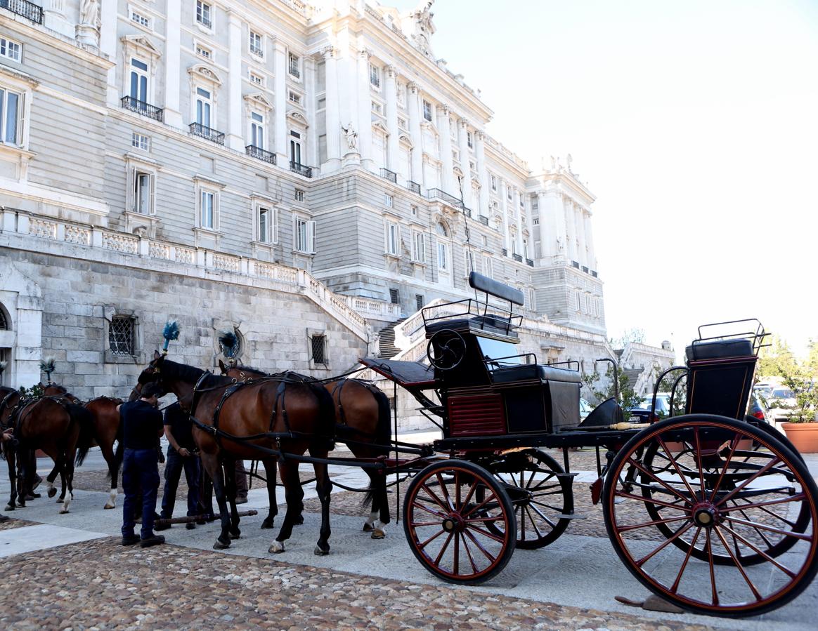 Cuidados diarios. Todos los días reciben cuidados, salen a pasear, reciben doma yensayan la ceremonia con un coche llamado la «domadora», que pesa 3.000 kilos, lo mismo que las carrozas históricas en las que trasladan a los embajadores extranjeros