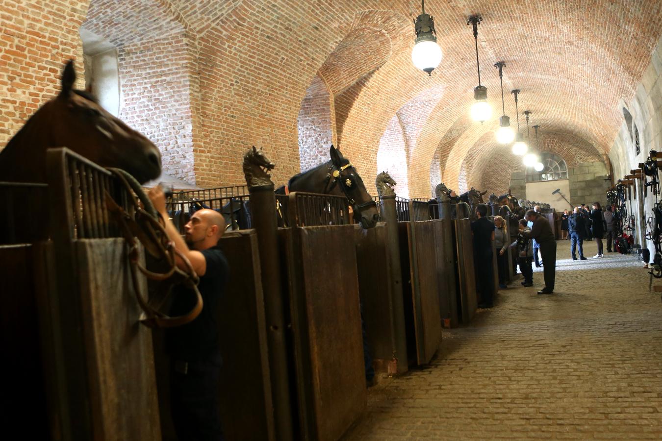 Empiezan los preparativos. Hoy es día de ceremonia y los preparativos empiezan muy temprano en las Caballerizas Reales