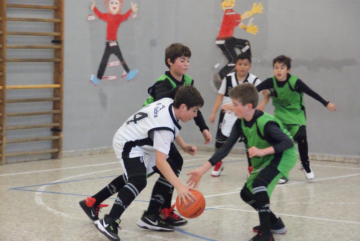 Las mejores imágenes del partido de baloncesto entre Escuelas Pías Aluche y Obispo Perello