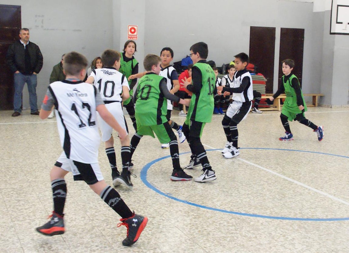 Las mejores imágenes del partido de baloncesto entre Escuelas Pías Aluche y Obispo Perello