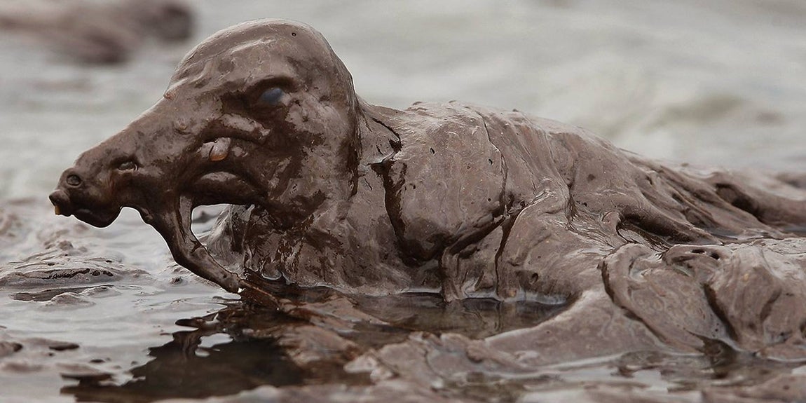 Las imágenes del naufragio del Amoco Cádiz