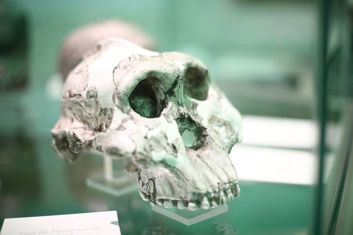 En imágenes, una vuelta a la ciencia en 200 objetos