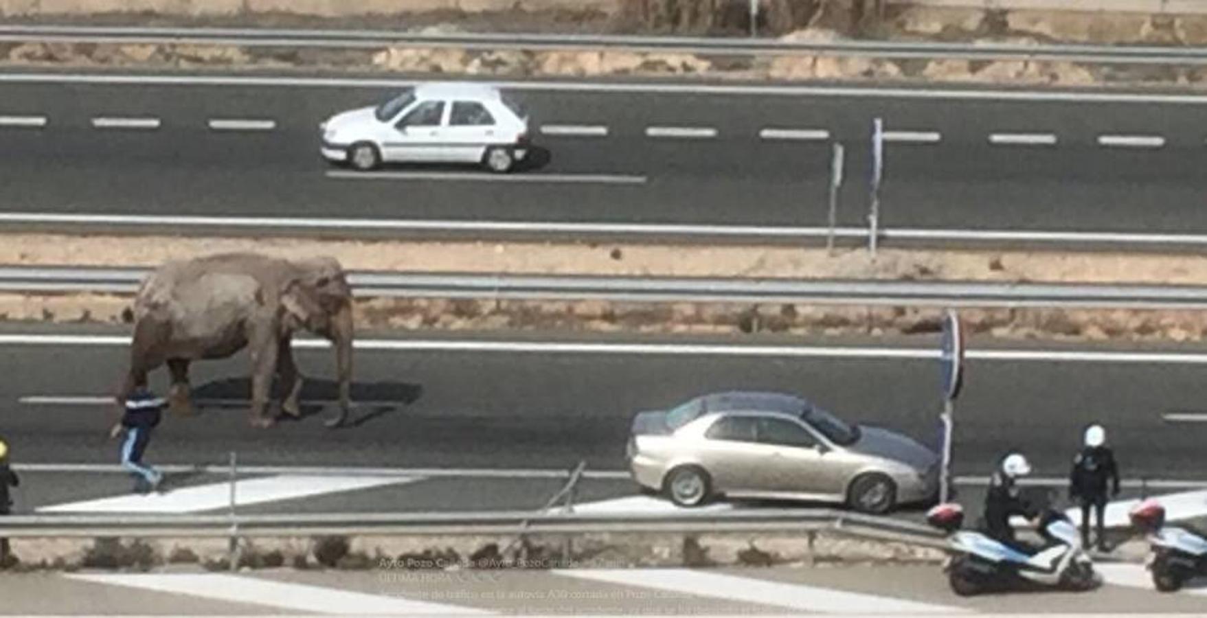 La Dirección General de Tráfico ha informado en su página web de que está cortada la carretera A-30 en los kilómetros 23-24. 