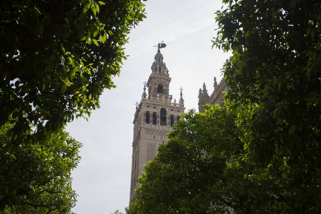 Los colores de la Giralda, un viaje del rojo al blanco