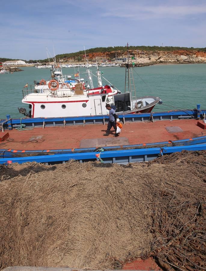 FOTOS: Preparativos en la almadraba de Conil