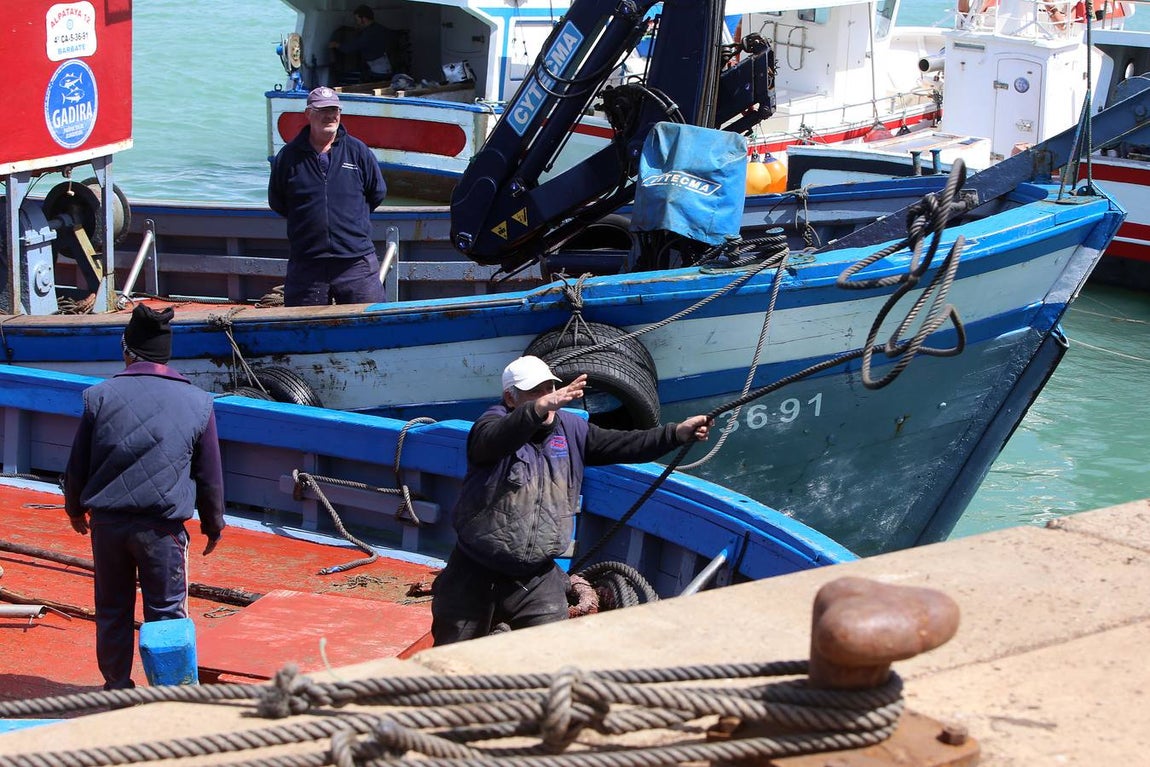 FOTOS: Preparativos en la almadraba de Conil