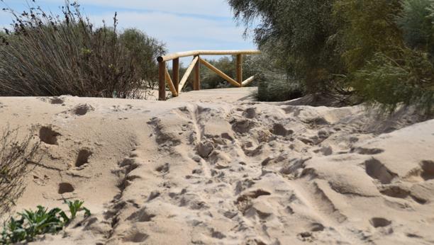 La playa canina de San Fernando destrozada por el temporal