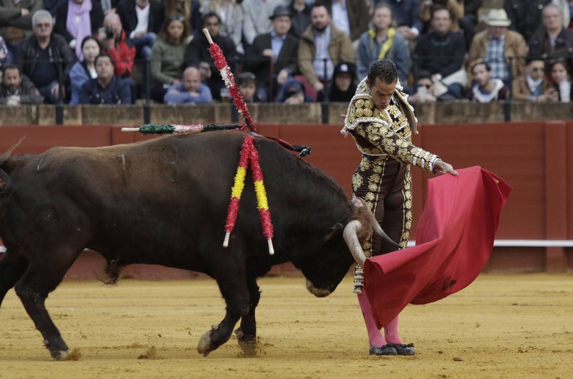 Las imágenes de la cogida de Román en la Maestranza