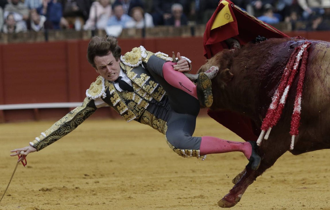 Las imágenes de la cogida de Román en la Maestranza
