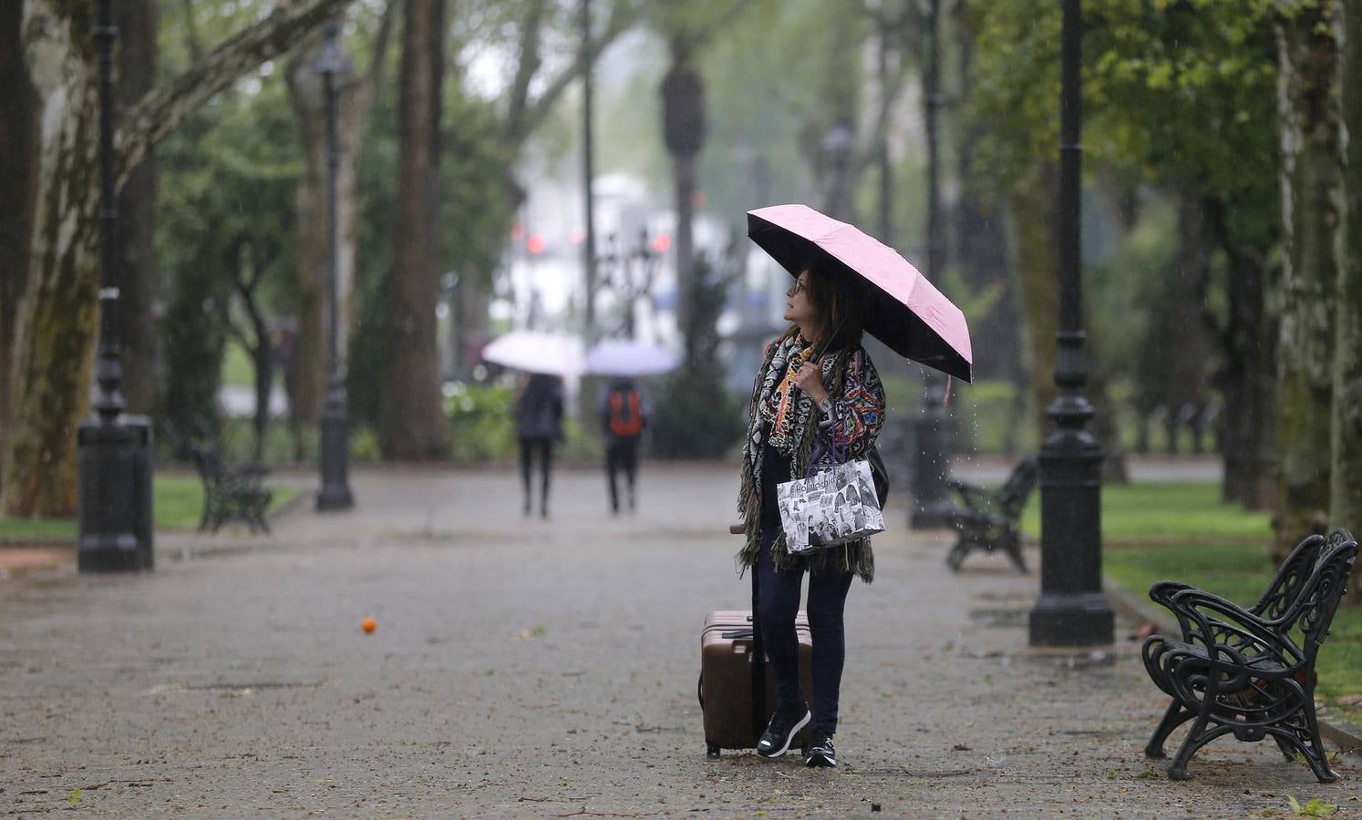 La primavera florece en Córdoba entre la lluvia, en imágenes