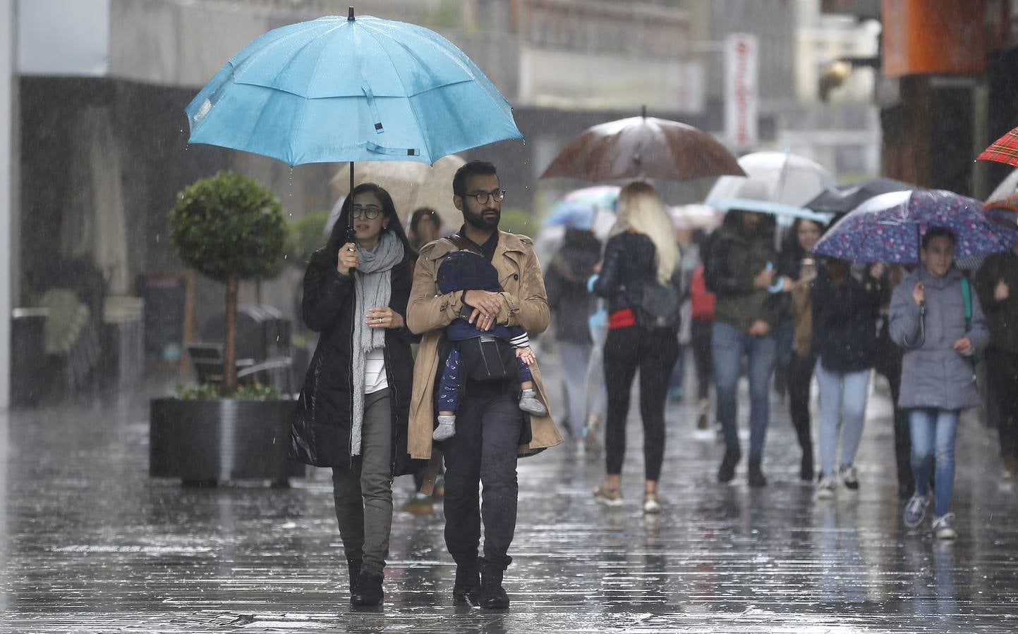 La primavera florece en Córdoba entre la lluvia, en imágenes