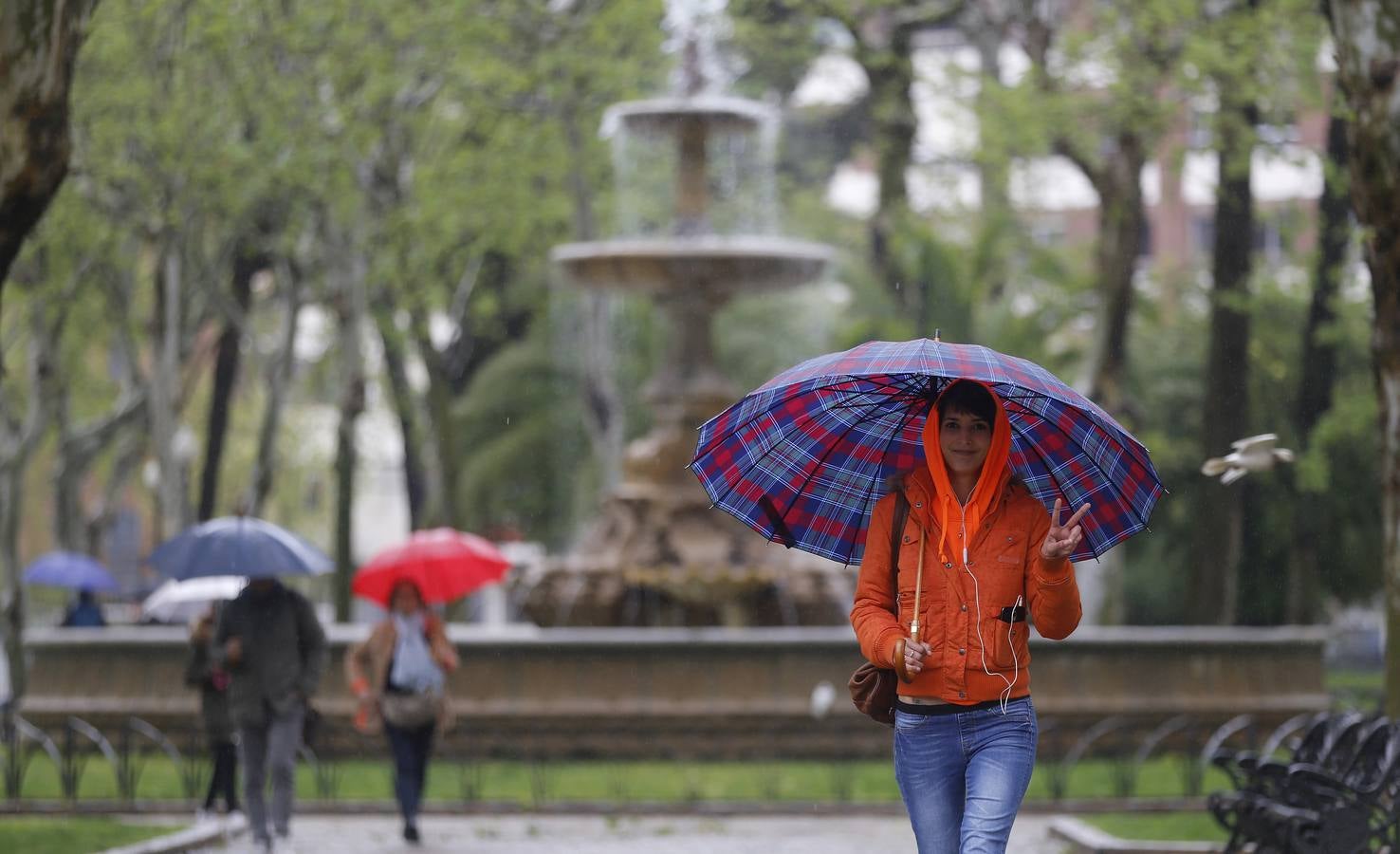 La primavera florece en Córdoba entre la lluvia, en imágenes