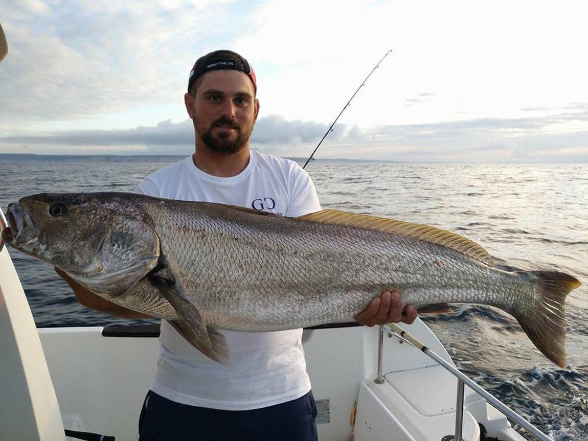 FOTOS: Las impresionantes capturas de un pescador de récord