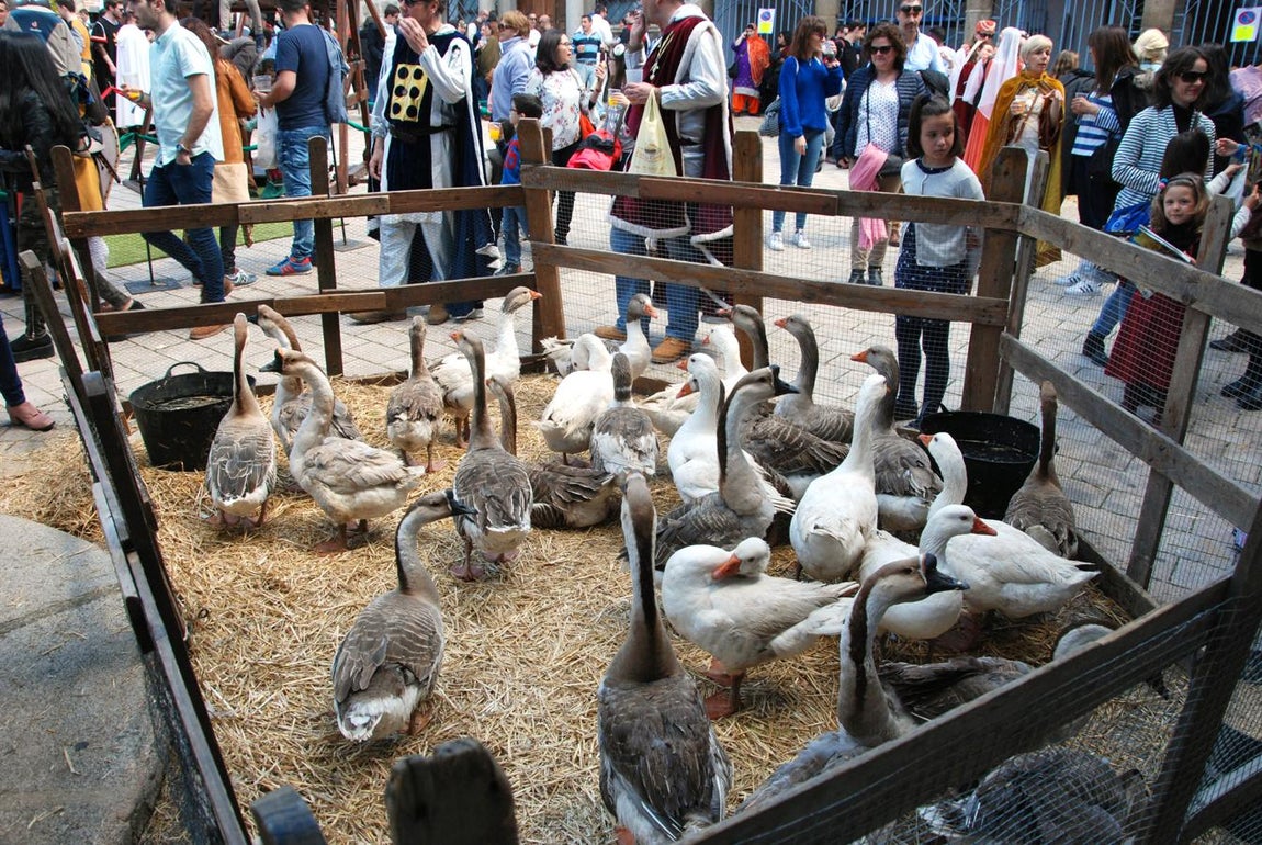 Las Jornadas Medievales, en imágenes