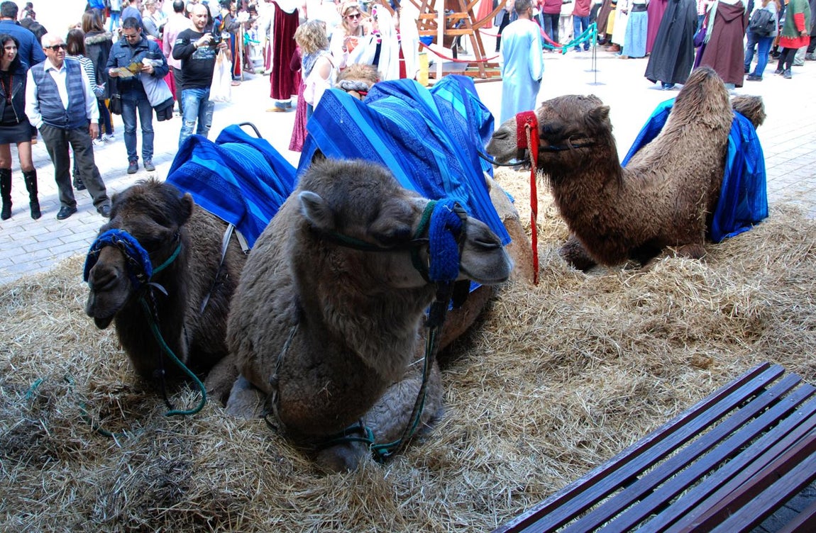 Las Jornadas Medievales, en imágenes