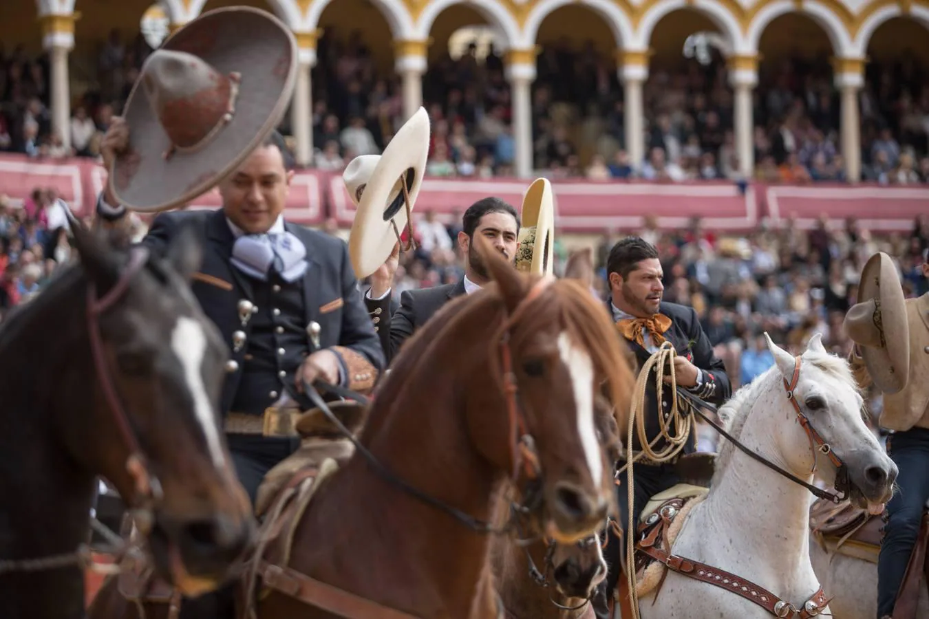 Tradicional Exhibición de Enganches en la Real Maestranza de Sevilla