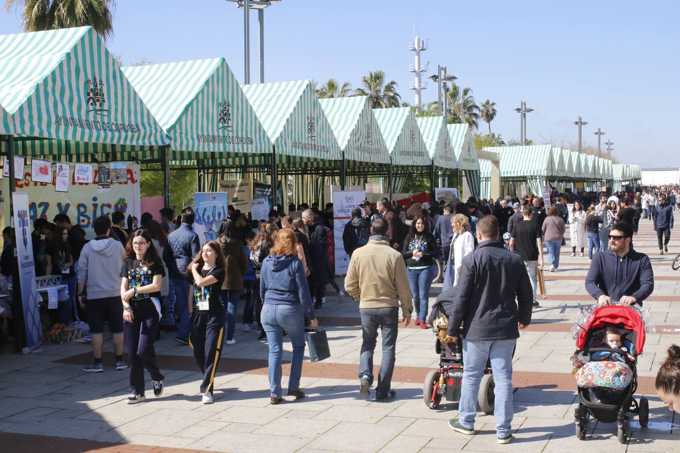 En imágenes, los experimentos del Paseo por la Ciencia en Córdoba