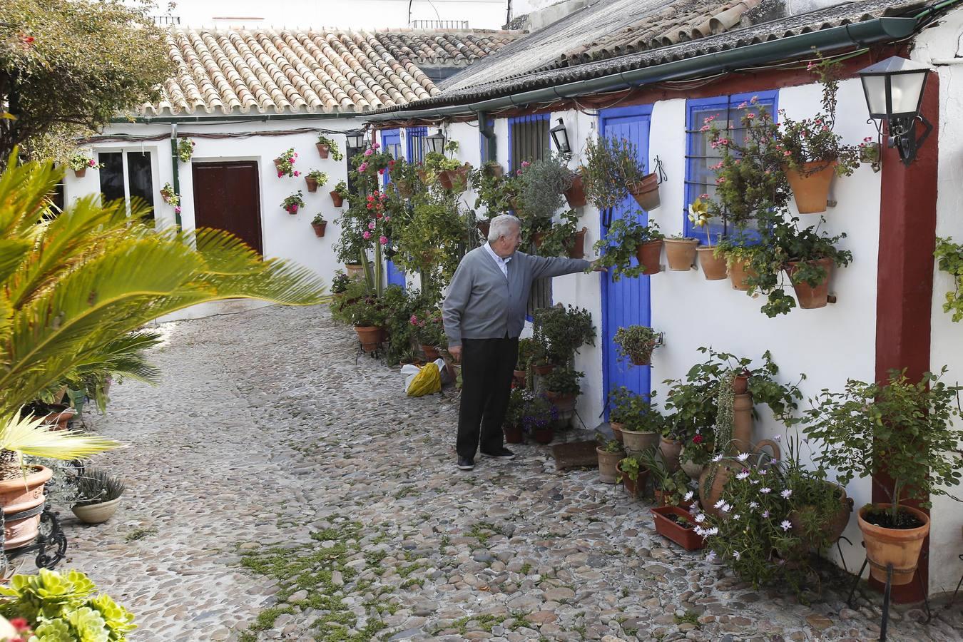 Los Patios de Córdoba ultiman detalles, en imágenes