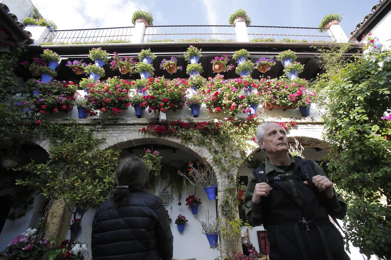 Los Patios de Córdoba ultiman detalles, en imágenes