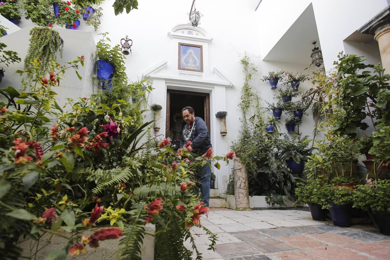 Los Patios de Córdoba ultiman detalles, en imágenes