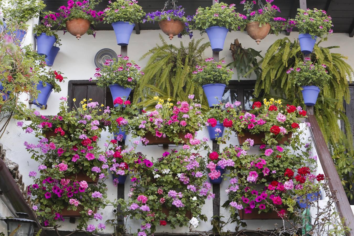 Los Patios de Córdoba ultiman detalles, en imágenes