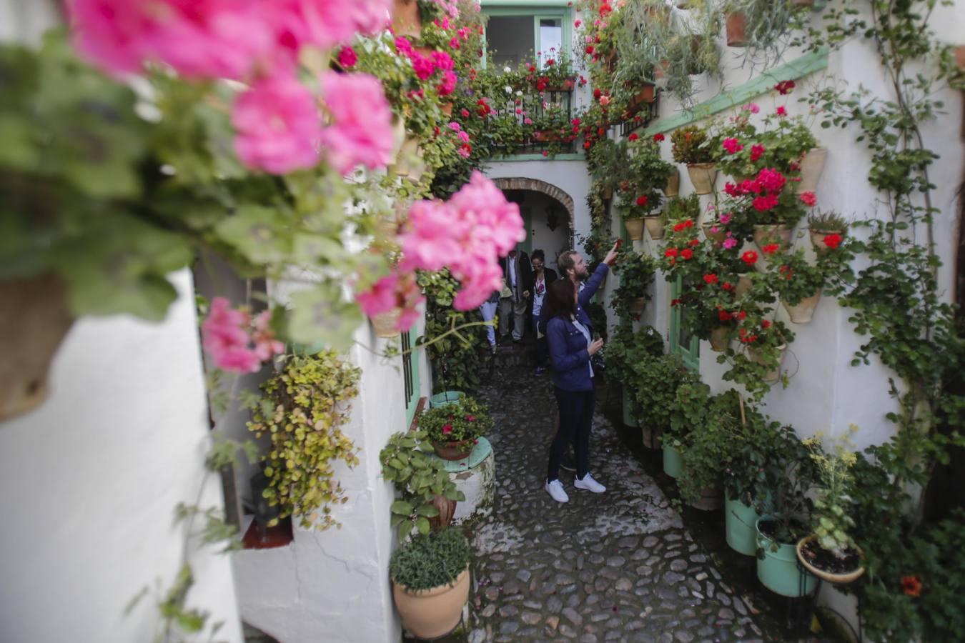 Los Patios de Córdoba ultiman detalles, en imágenes