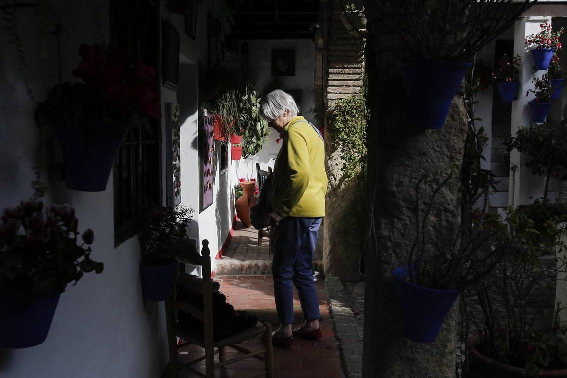 Los Patios de Córdoba ultiman detalles, en imágenes