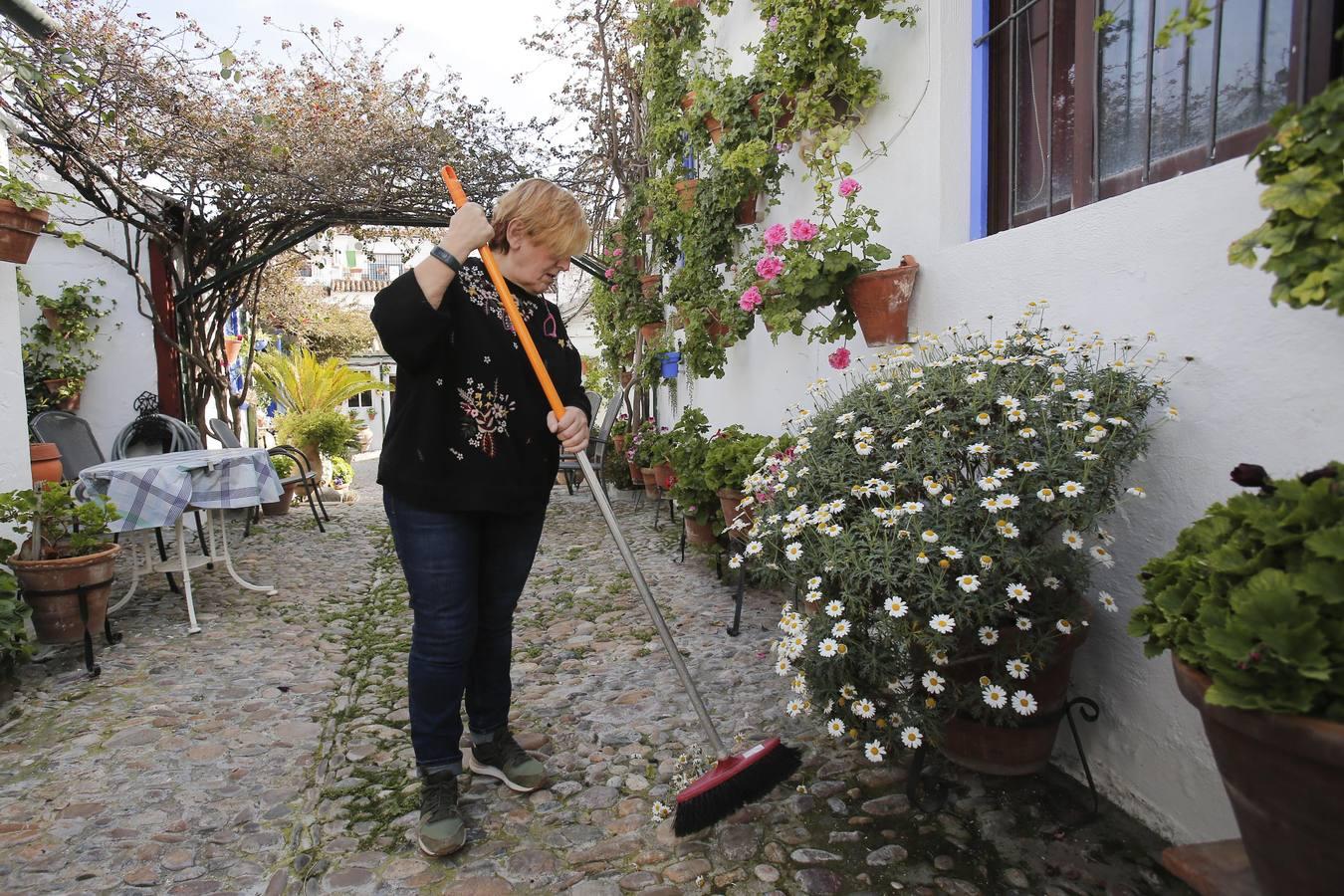 Los Patios de Córdoba ultiman detalles, en imágenes