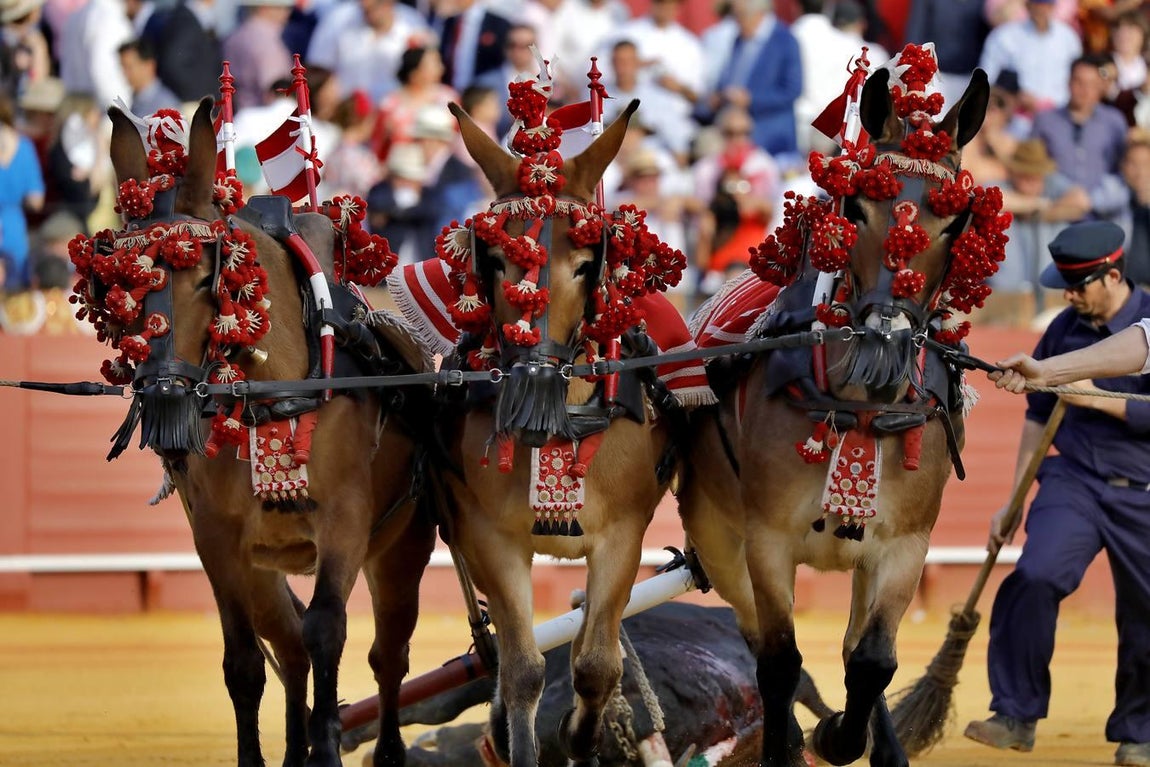 Corrida de toros del jueves del ciclo continuado de abono de la Feria de Abril