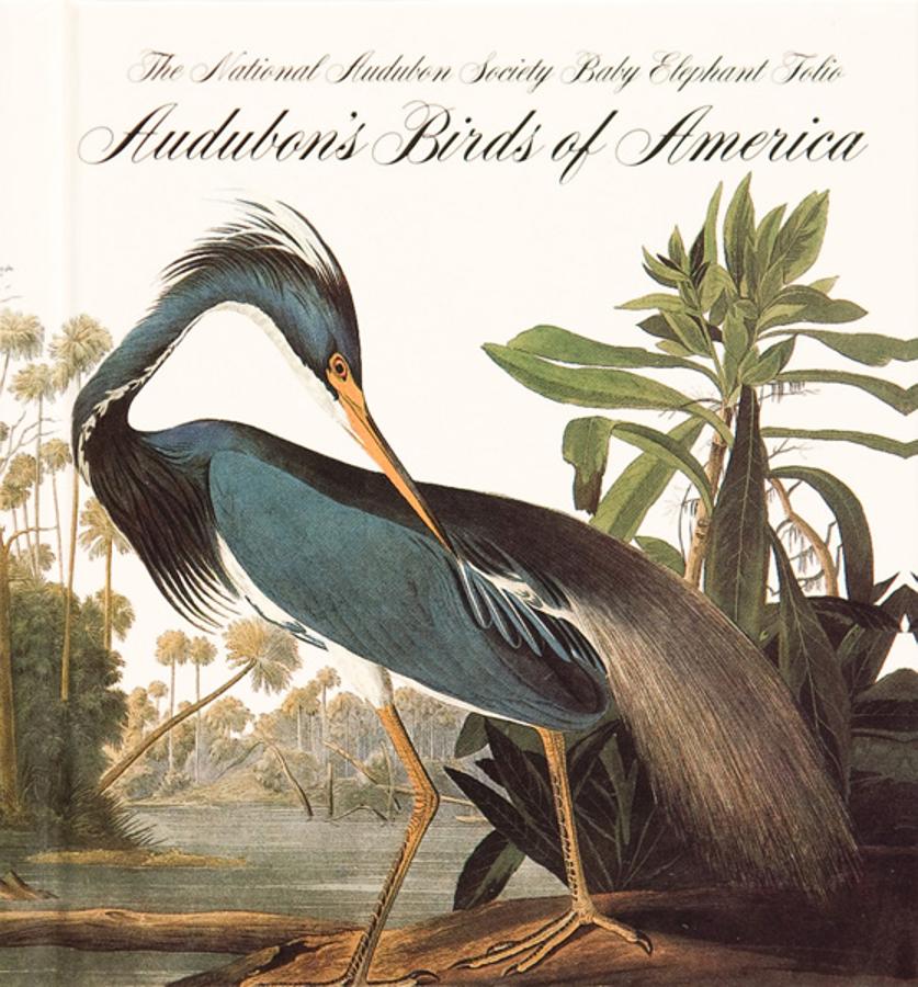 Birds of América. Su autor es el ornitólogo John James Audubon, un conocido naturalista francés nacionalizado en América. Creo su obra maestra desde 1827 y 1838. El libro mide más de un metro de altura y guarda entre sus páginas un compendio de más de 200 especies de aves autóctonas de América. Cada especie va acompañada por su correspondiente ilustración pintada a mano, según su autor, a tamaño real. Cada ejemplar vendido se pagó muy caro porque no sólo tiene valor científico sino también histórico. Para los coleccionista es uno de los libros más exclusivos dada su categoriía de libro raro. Está valorado en diez millones de dólares (8.000.000 de euros)