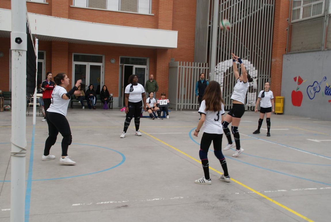 Las mejores imágenes del partido de voleibol infantil femenino entre Nuestra Señora del Carmen y Decroly