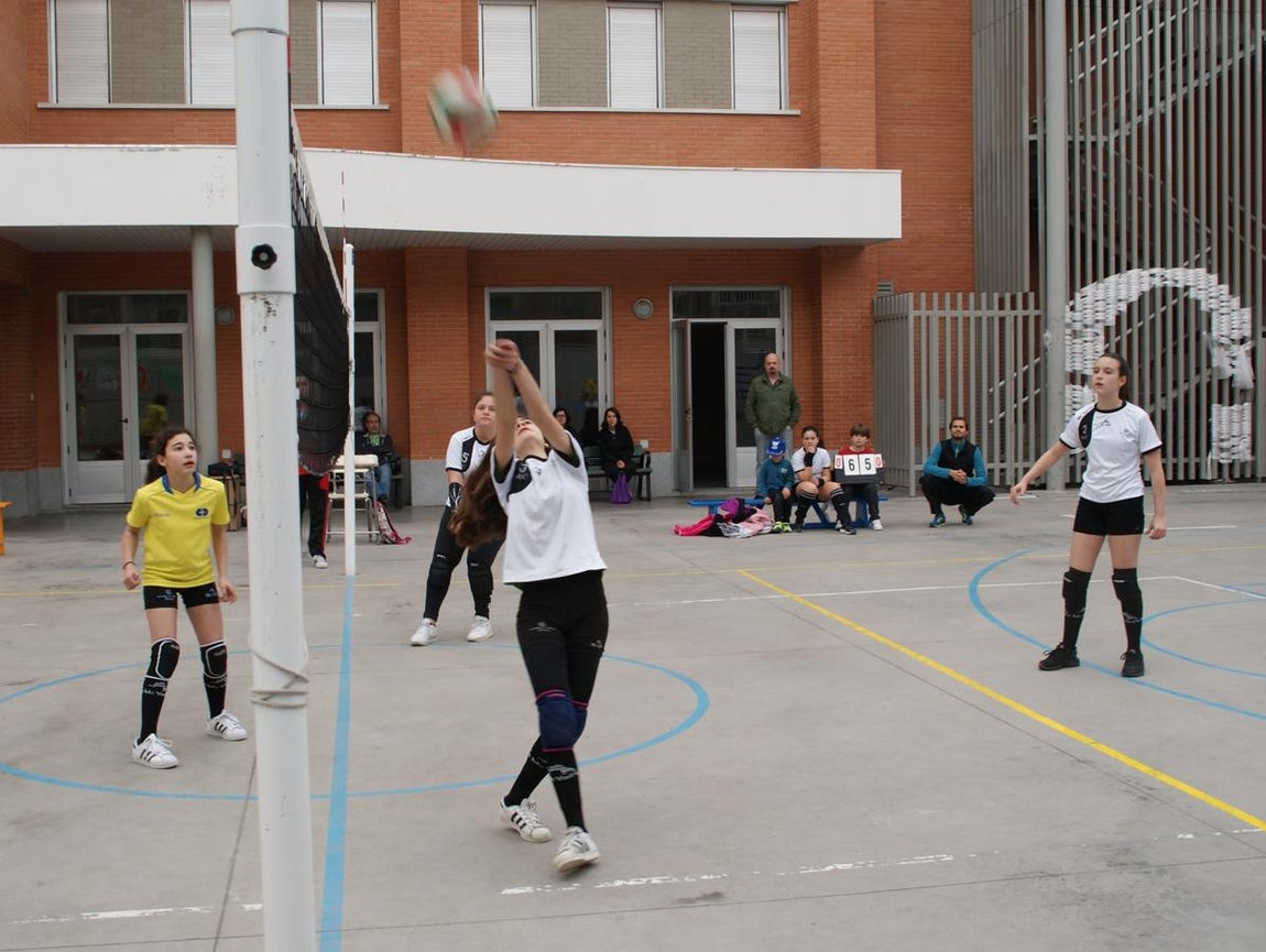 Las mejores imágenes del partido de voleibol infantil femenino entre Nuestra Señora del Carmen y Decroly