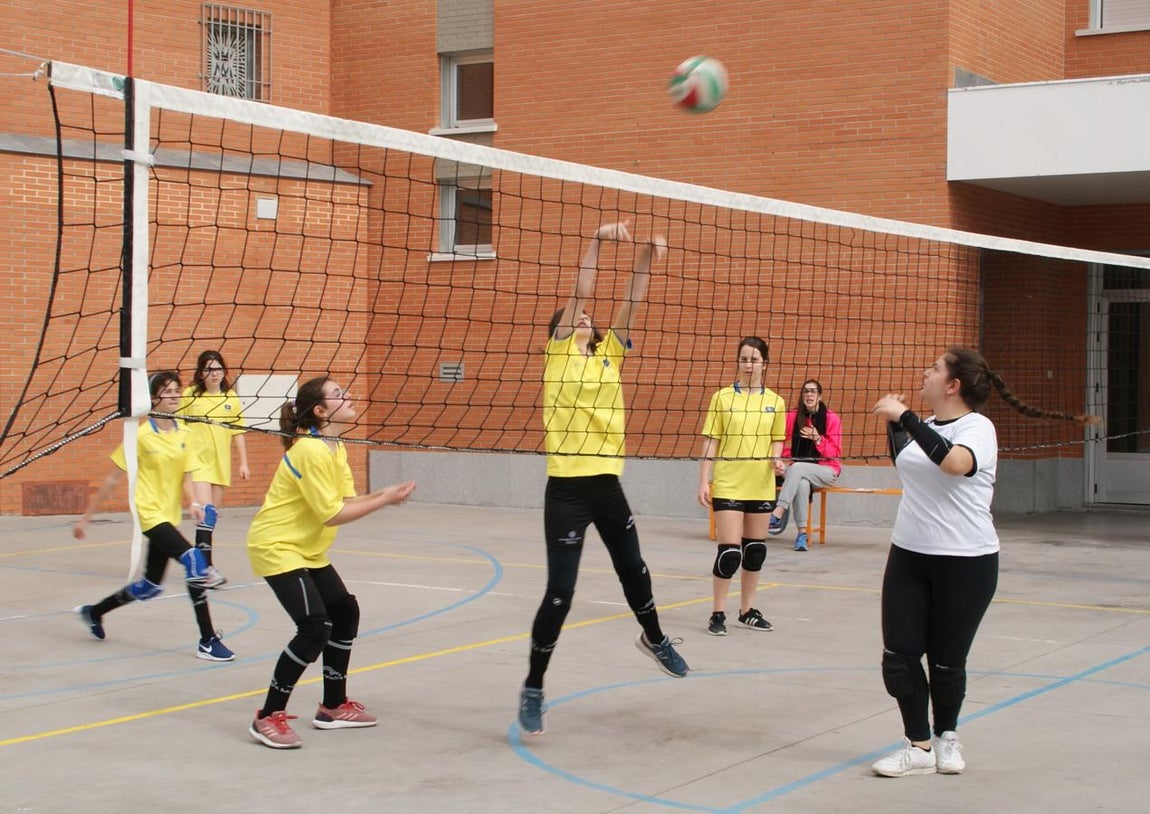 Las mejores imágenes del partido de voleibol infantil femenino entre Nuestra Señora del Carmen y Decroly